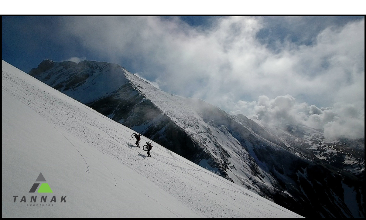 Tannak aventures - Logo - Identité visuelle - © design by Olivier Varma