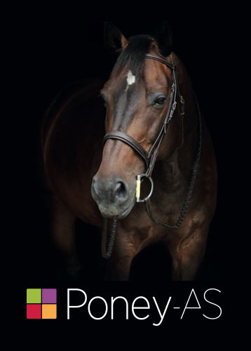 Poney As, direction artistique, Print, Magazines, catalogues, web design, thumbnail, © www.ovarma.com